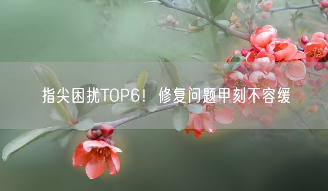 指尖困扰TOP6！修复问题甲刻不容缓(图1)