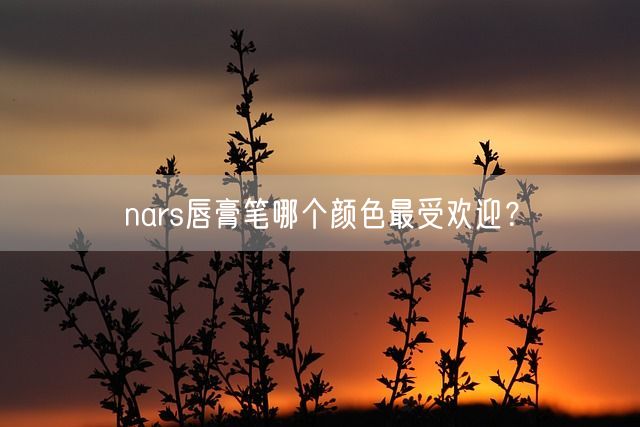 nars唇膏笔哪个颜色最受欢迎？(图1)