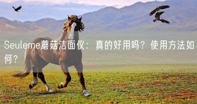 Seuleme蘑菇洁面仪：真的好用吗？使用方法如何？(图1)