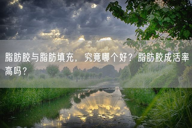 脂肪胶与脂肪填充，究竟哪个好？脂肪胶成活率高吗？(图1)