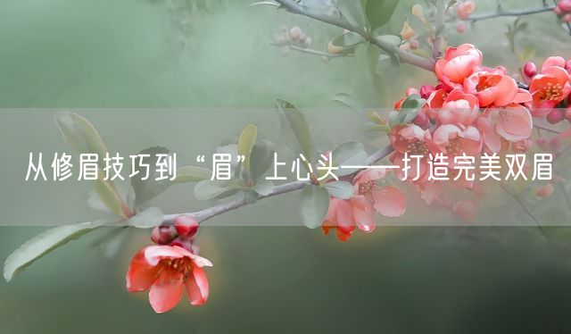 从修眉技巧到“眉”上心头——打造完美双眉(图1)