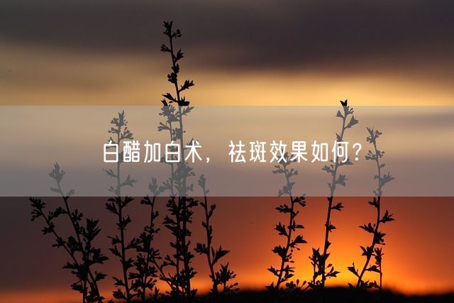 白醋加白术，祛斑效果如何？(图1)