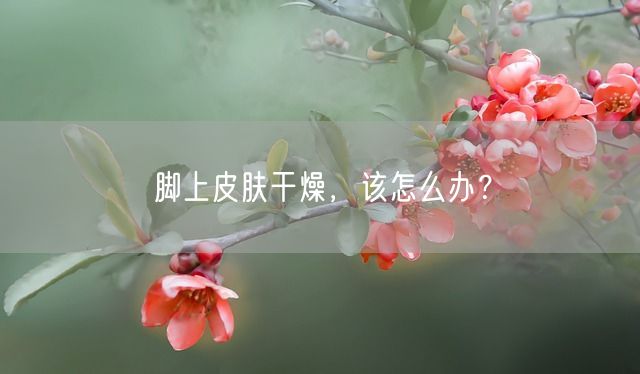 脚上皮肤干燥，该怎么办？(图1)