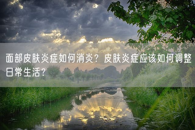 面部皮肤炎症如何消炎？皮肤炎症应该如何调整日常生活？(图1)