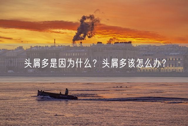 头屑多是因为什么？头屑多该怎么办？(图1)