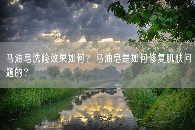 马油皂洗脸效果如何？马油皂是如何修复肌肤问题的？(图1)