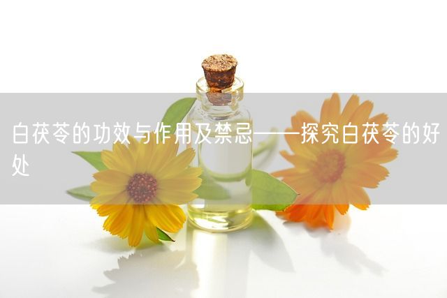 白茯苓的功效与作用及禁忌——探究白茯苓的好处(图1)