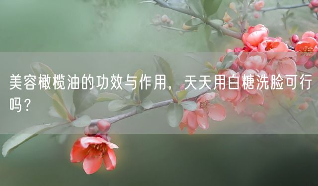 美容橄榄油的功效与作用，天天用白糖洗脸可行吗？(图1)