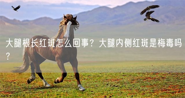 大腿根长红斑怎么回事？大腿内侧红斑是梅毒吗？(图1)