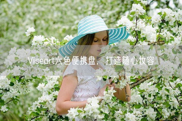 Viseart六色便携盘，打造随心妆容(图1)