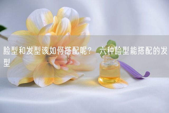 脸型和发型该如何搭配呢？ 六种脸型能搭配的发型(图1)