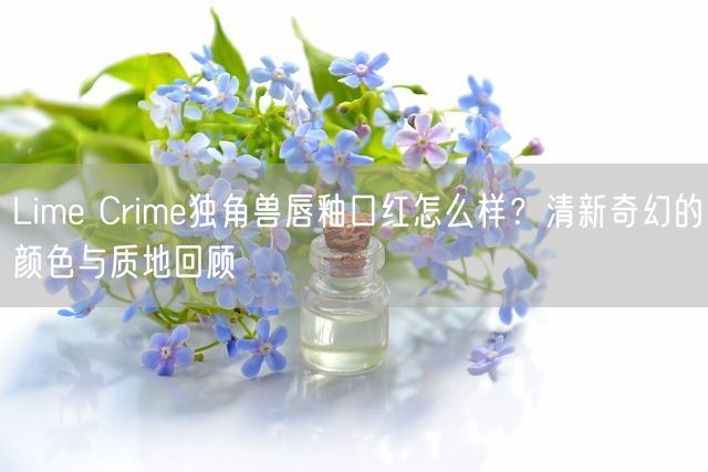 Lime Crime独角兽唇釉口红怎么样？清新奇幻的颜色与质地回顾(图1)