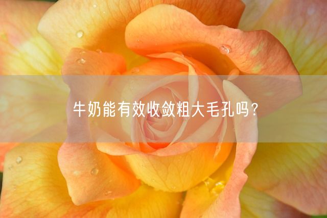 牛奶能有效收敛粗大毛孔吗？(图1)