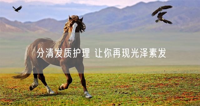 分清发质护理 让你再现光泽素发(图1)