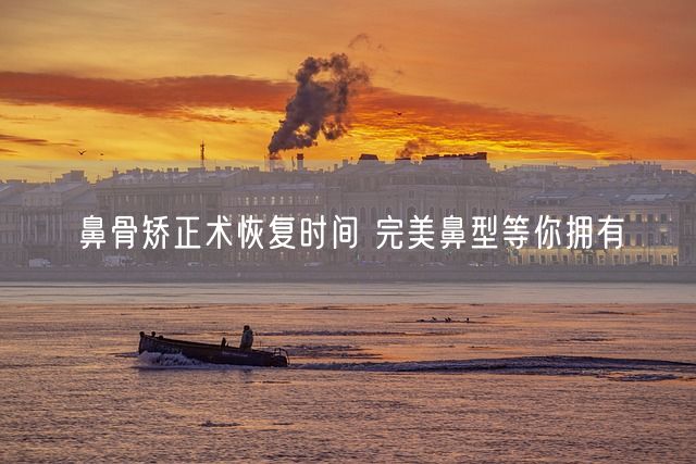 鼻骨矫正术恢复时间 完美鼻型等你拥有(图1)