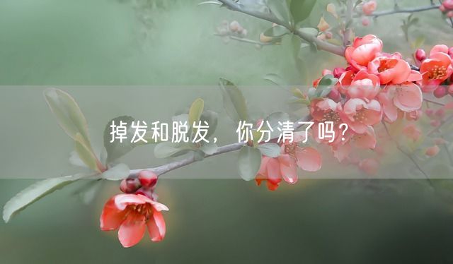 掉发和脱发，你分清了吗？(图1)