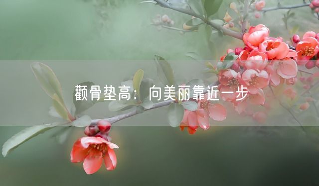 颧骨垫高：向美丽靠近一步(图1)