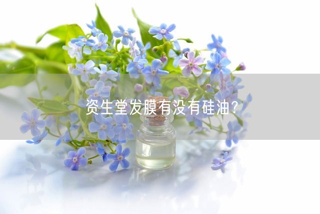 资生堂发膜有没有硅油？(图1)