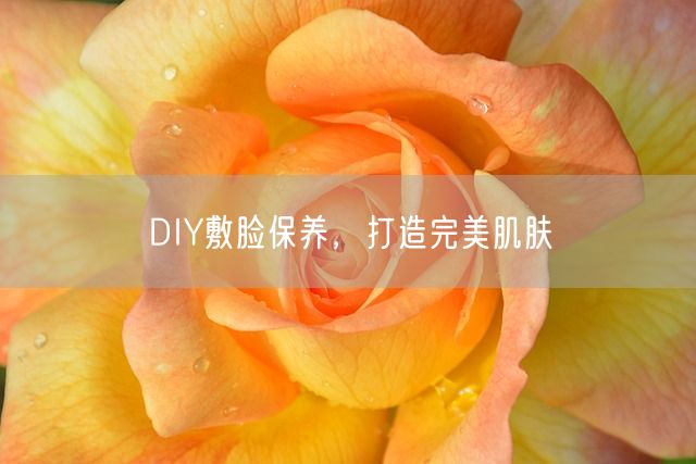 DIY敷脸保养，打造完美肌肤(图1)