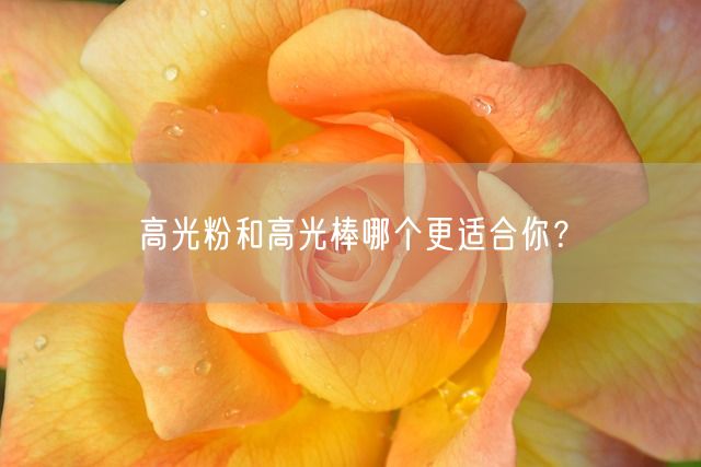 高光粉和高光棒哪个更适合你？(图1)