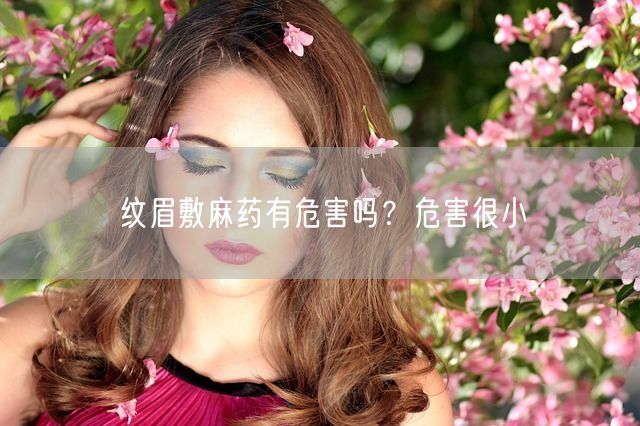 纹眉敷麻药有危害吗？危害很小(图1)