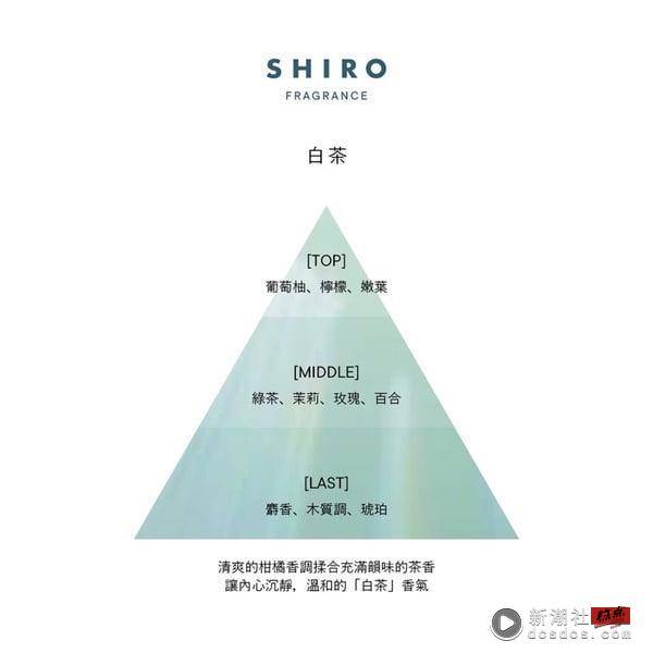 茶香控大推！日杂编辑爱牌SHIRO全新白茶、伯爵茶香氛系列可盐可甜，打造日常仪式感！ 最新 图3张