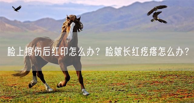 脸上擦伤后红印怎么办？脸皴长红疙瘩怎么办？(图1)