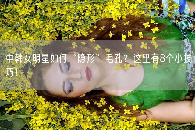 中韩女明星如何“隐形”毛孔？这里有8个小技巧！(图1)