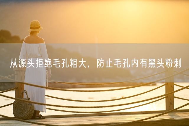 从源头拒绝毛孔粗大，防止毛孔内有黑头粉刺(图1)