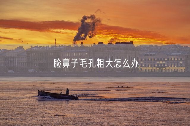 脸鼻子毛孔粗大怎么办(图1)