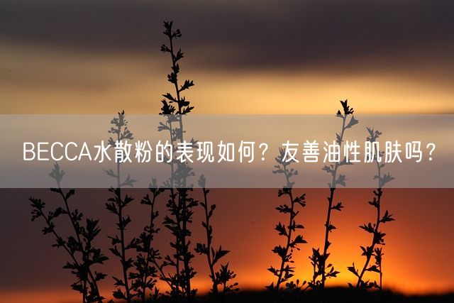 BECCA水散粉的表现如何？友善油性肌肤吗？(图1)