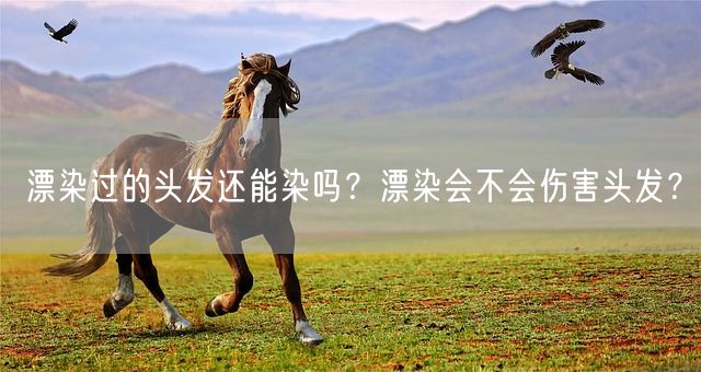 漂染过的头发还能染吗？漂染会不会伤害头发？(图1)