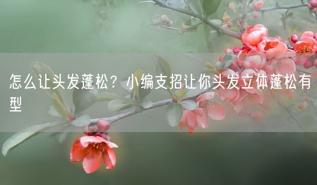 怎么让头发蓬松？小编支招让你头发立体蓬松有型(图1)