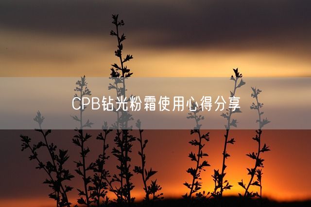 CPB钻光粉霜使用心得分享(图1)