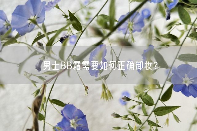 男士BB霜需要如何正确卸妆？(图1)