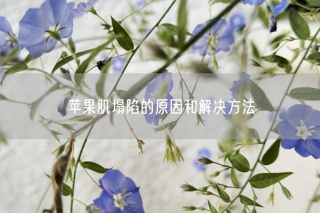 苹果肌塌陷的原因和解决方法(图1)