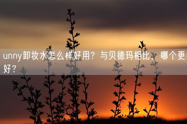 unny卸妆水怎么样好用？与贝德玛相比，哪个更好？(图1)