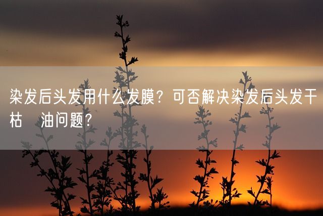 染发后头发用什么发膜？可否解决染发后头发干枯焗油问题？(图1)