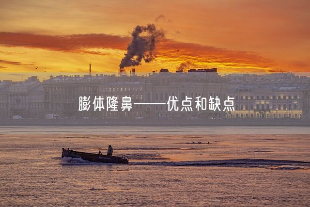 膨体隆鼻——优点和缺点(图1)