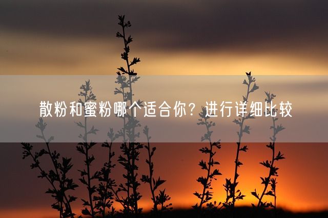 散粉和蜜粉哪个适合你？进行详细比较(图1)