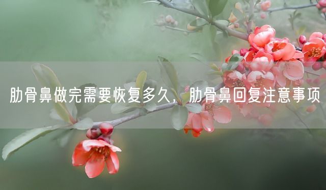 肋骨鼻做完需要恢复多久，肋骨鼻回复注意事项(图1)