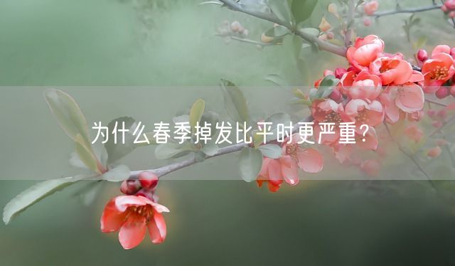 为什么春季掉发比平时更严重？(图1)