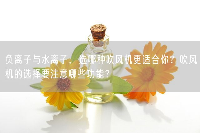 负离子与水离子，选哪种吹风机更适合你？吹风机的选择要注意哪些功能？(图1)