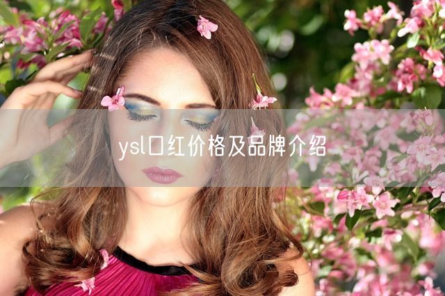 ysl口红价格及品牌介绍(图1)