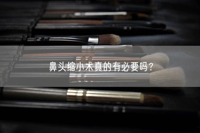 鼻头缩小术真的有必要吗？(图1)