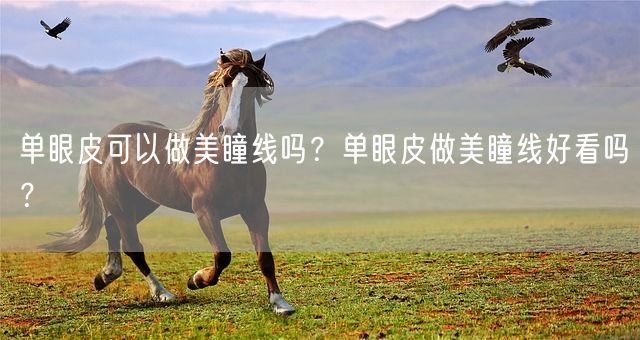 单眼皮可以做美瞳线吗？单眼皮做美瞳线好看吗？(图1)