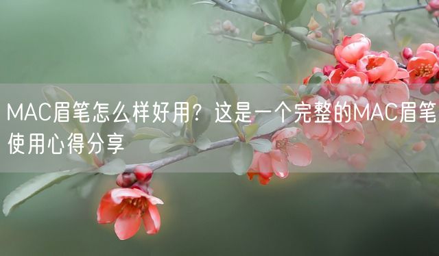 MAC眉笔怎么样好用？这是一个完整的MAC眉笔使用心得分享(图1)