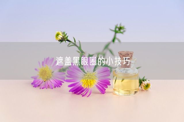 遮盖黑眼圈的小技巧(图1)