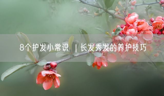 8个护发小常识  | 长发秀发的养护技巧(图1)