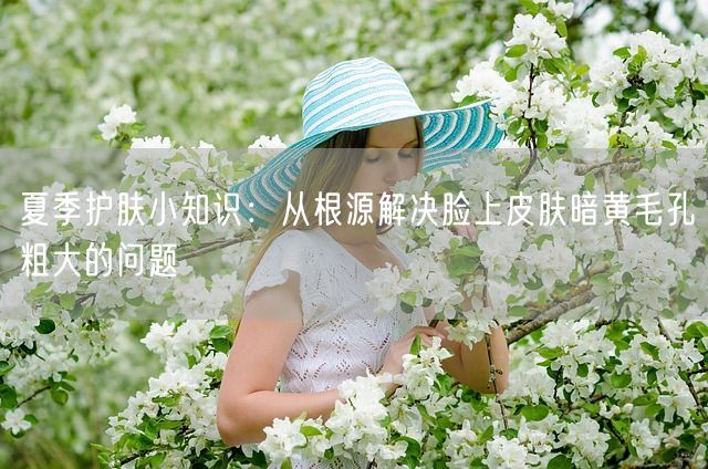 夏季护肤小知识：从根源解决脸上皮肤暗黄毛孔粗大的问题(图1)